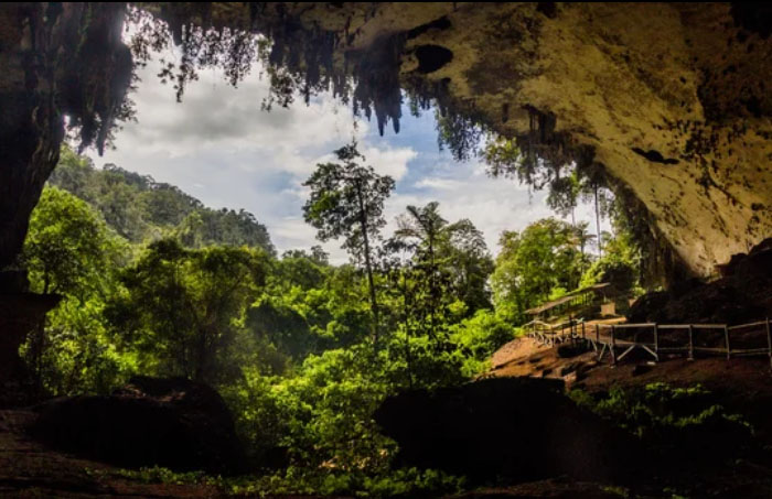 Niah National Park