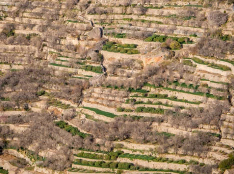 Jabal Tuwaiq